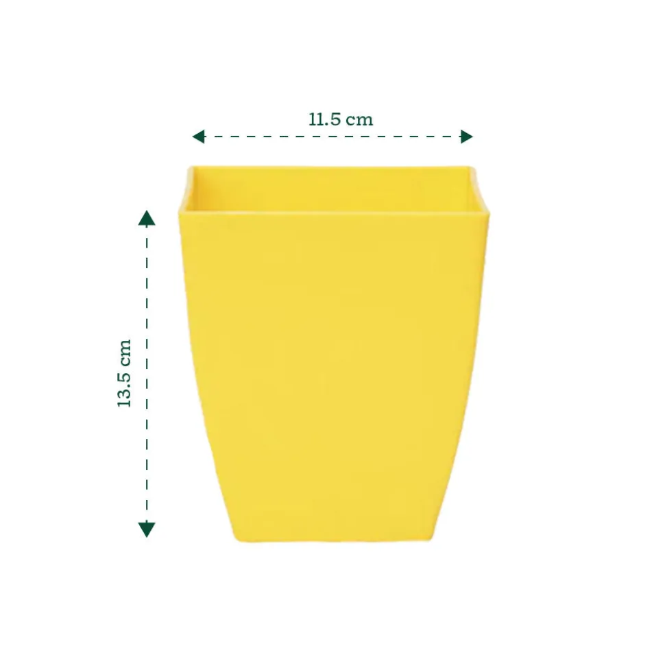 Chatura Plastic Pots - Set of 5