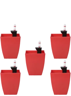 Chatura Self Watering Pots - Set of 5
