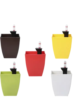 Chatura Self Watering Pots - Set of 5