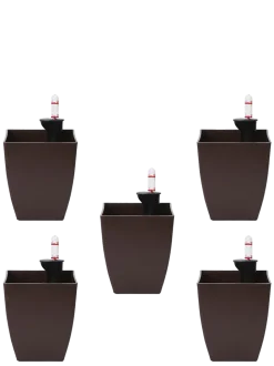 Chatura Self Watering Pots - Set of 5