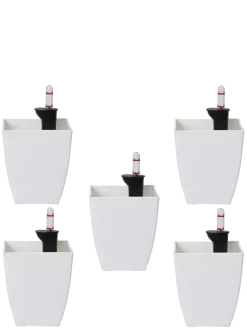 Chatura Self Watering Pots - Set of 5