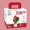 Cherry Tomato Grow Kit