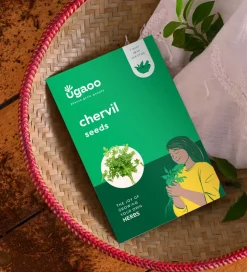 Chervil Seeds