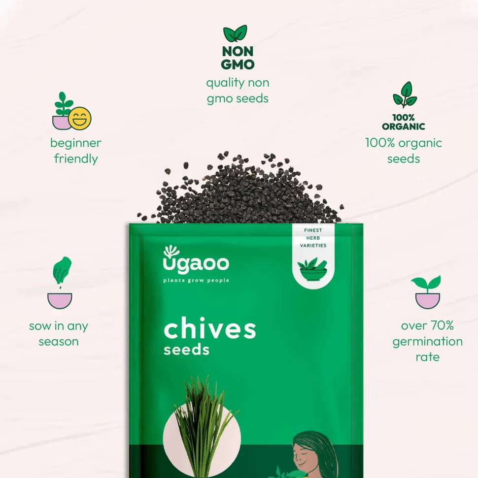 Chives Seeds