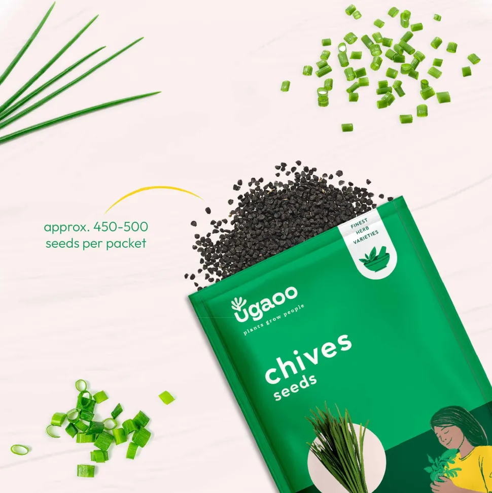 Chives Seeds