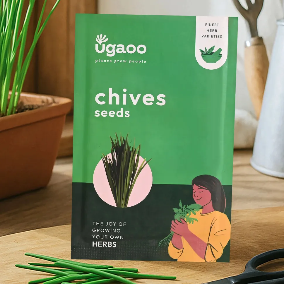 Chives Seeds