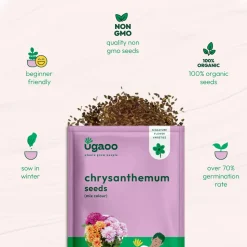 Chrysanthemum Mix Seeds