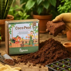 Cocopeat Block
