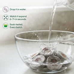 Coco Peat Coins