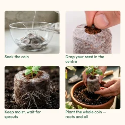 Coco Peat Coins
