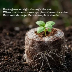 Coco Peat Coins
