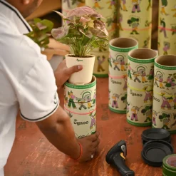 Combo of 4 Stylish Plant Set for Office Desk