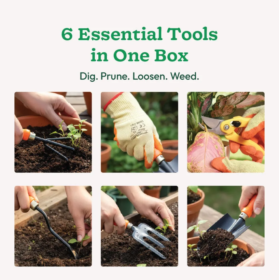 Complete Garden Tool Kit