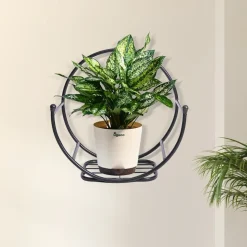 Concave Wall Mounting Planter