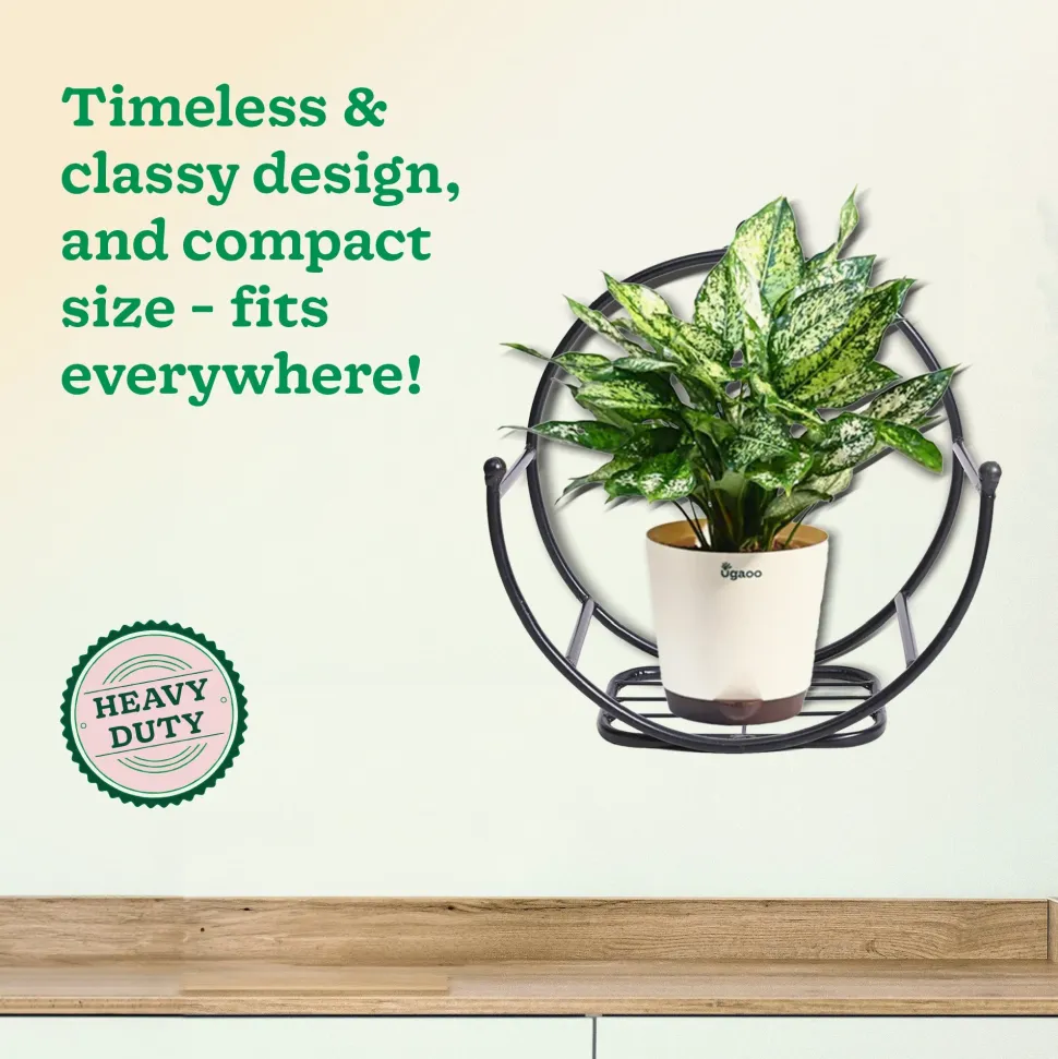 Concave Wall Mounting Planter