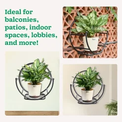Concave Wall Mounting Planter