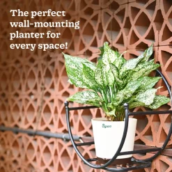 Concave Wall Mounting Planter