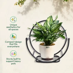 Concave Wall Mounting Planter
