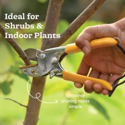 Core Pruning Kit