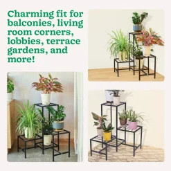 Corner Plant Stand