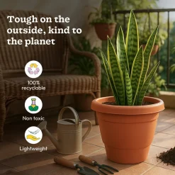 Cosmos Plastic Pot