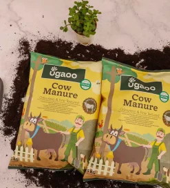 Cow Manure