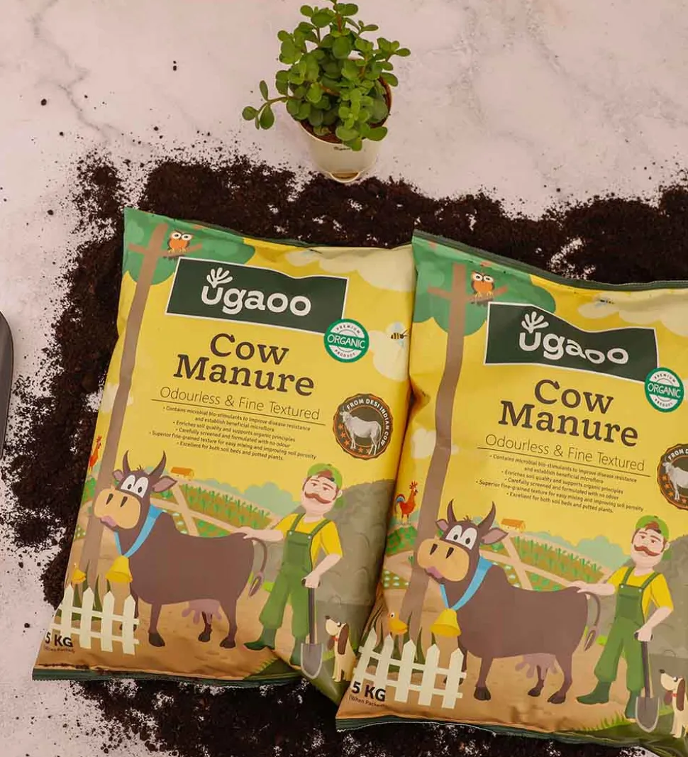 Cow Manure