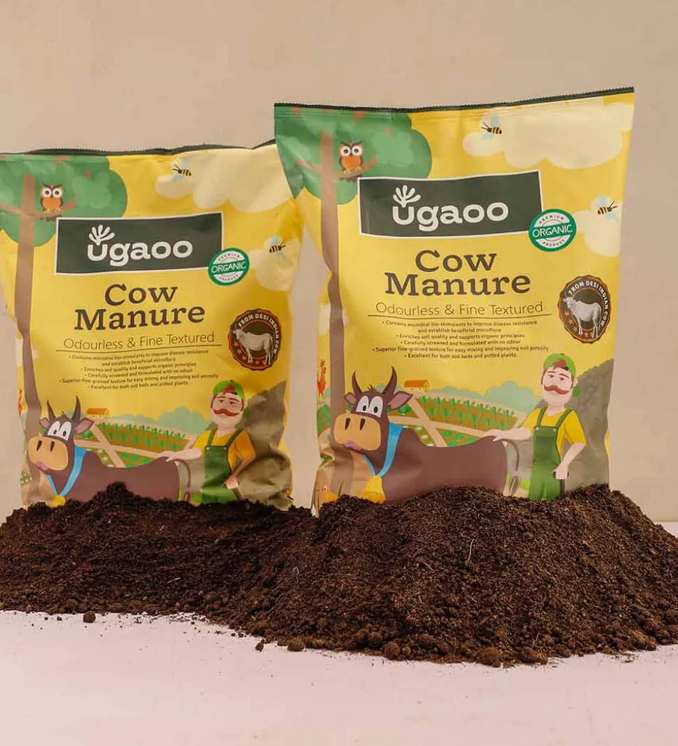 Cow Manure