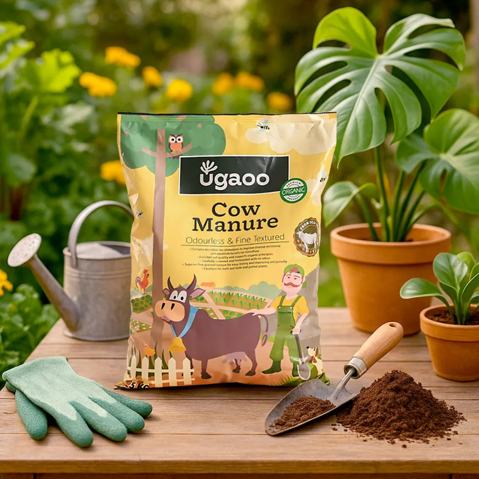Cow Manure