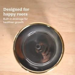 Crown ceramic pot - 5 inch