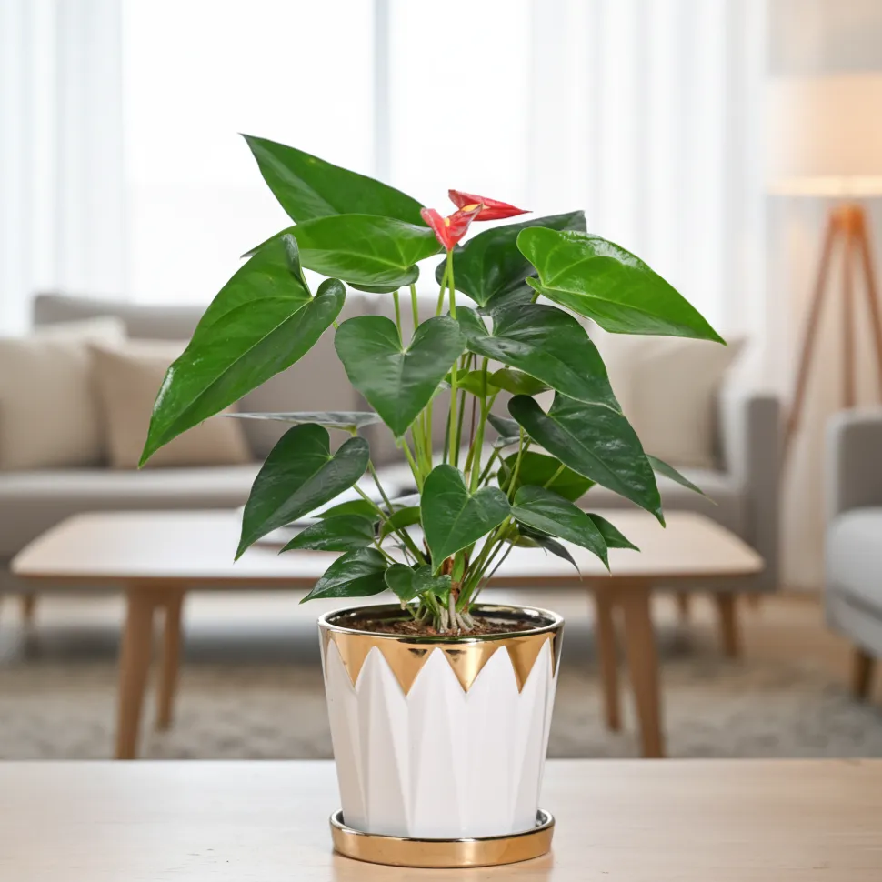 Crown ceramic pot - 5 inch