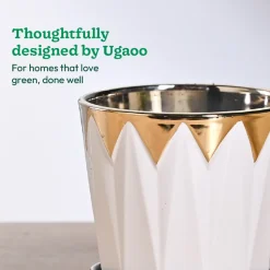 Crown ceramic pot - 5 inch