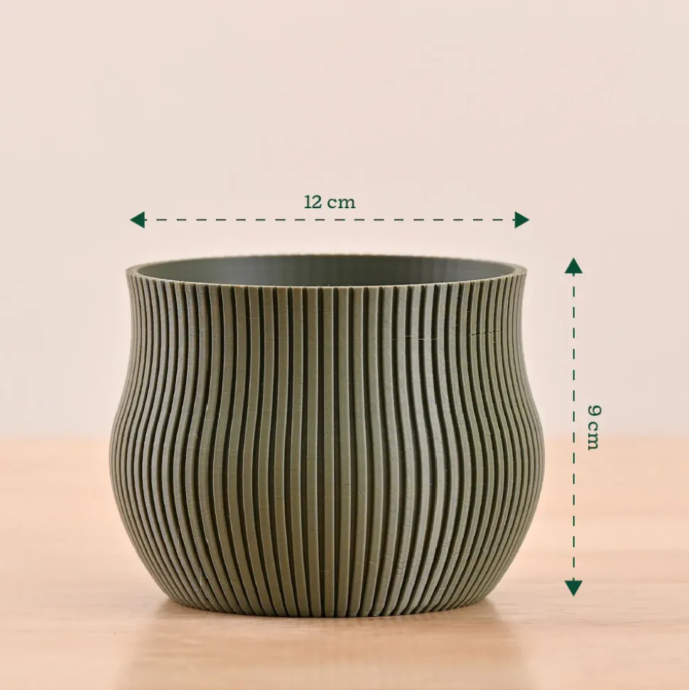 Crown Planter