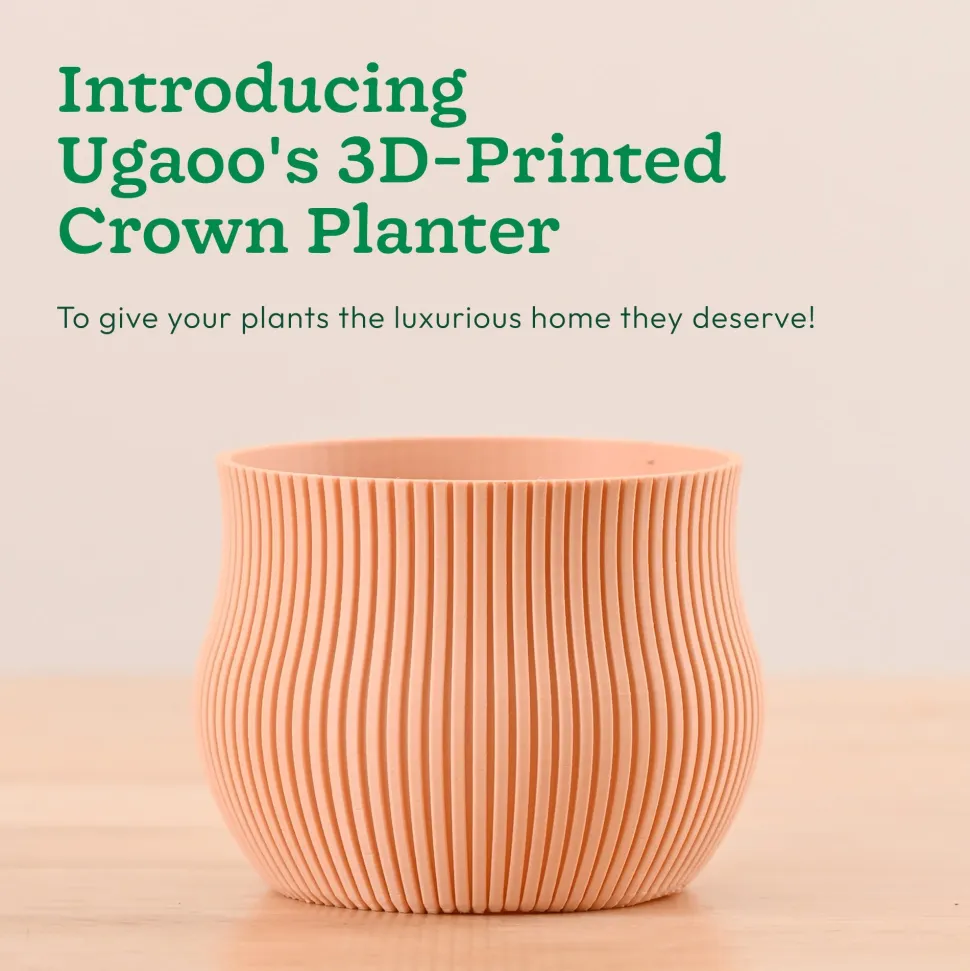 Crown Planter