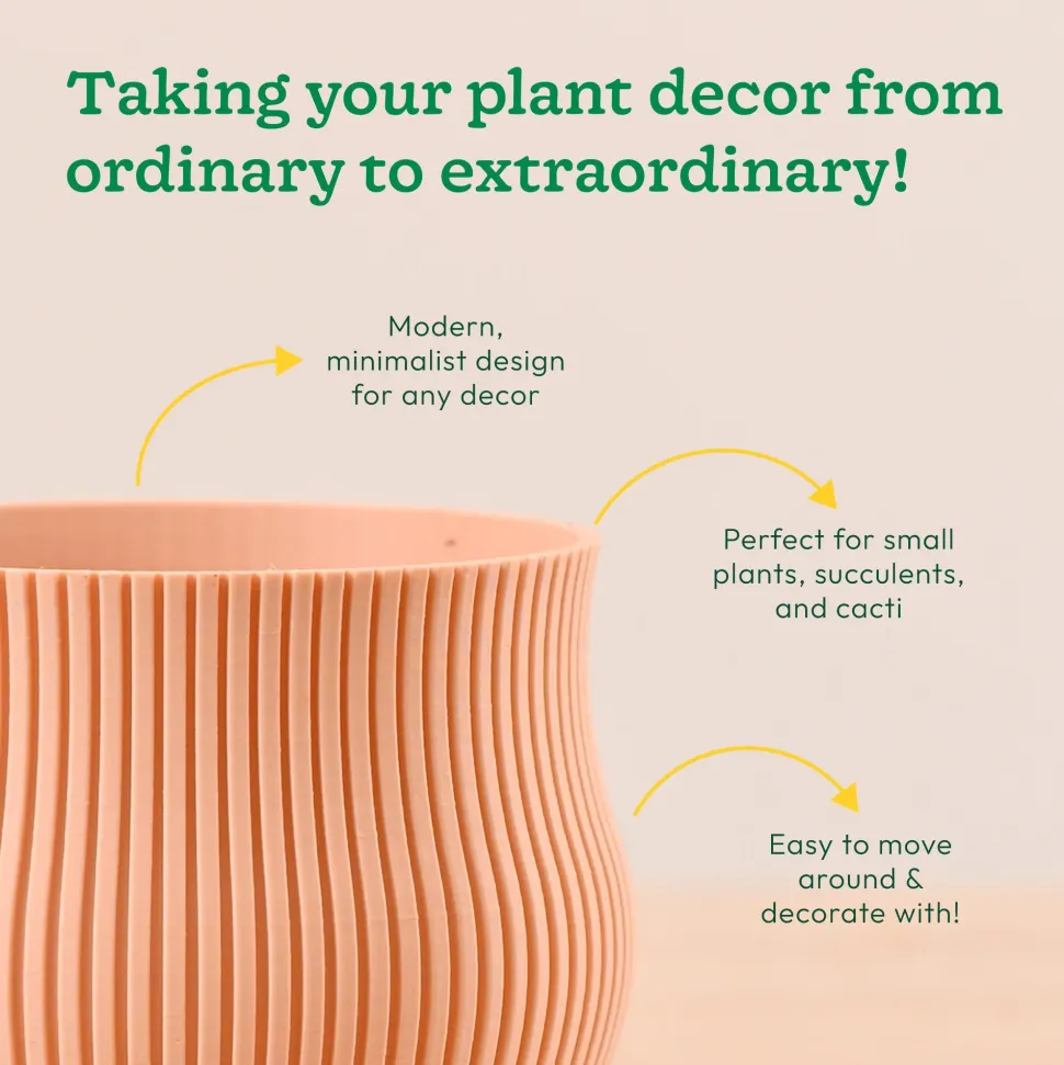 Crown Planter
