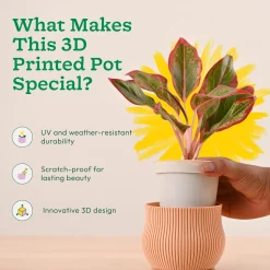 Crown Planter