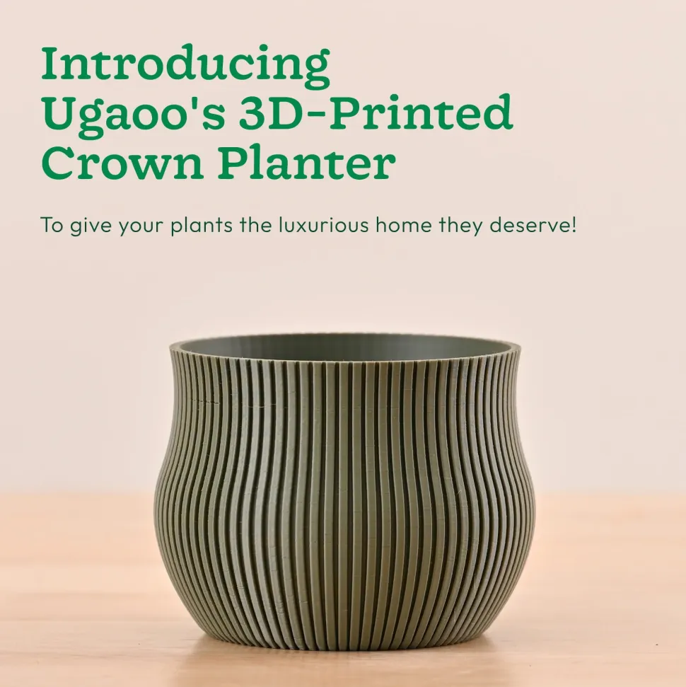 Crown Planter