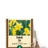Daffodil Lily Bulbs