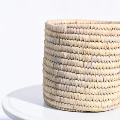 Date Palm Planter