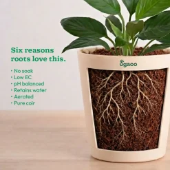 Decompressed Coco Peat Powder