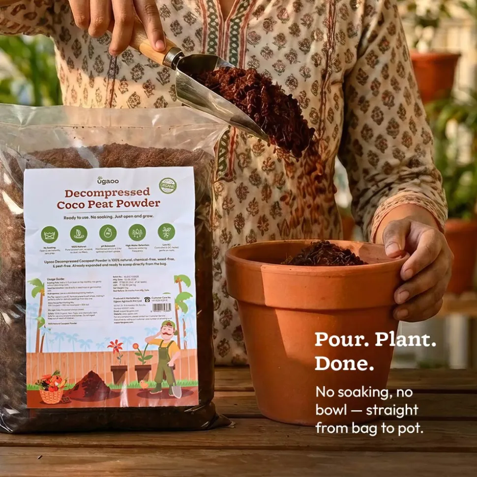 Decompressed Coco Peat Powder