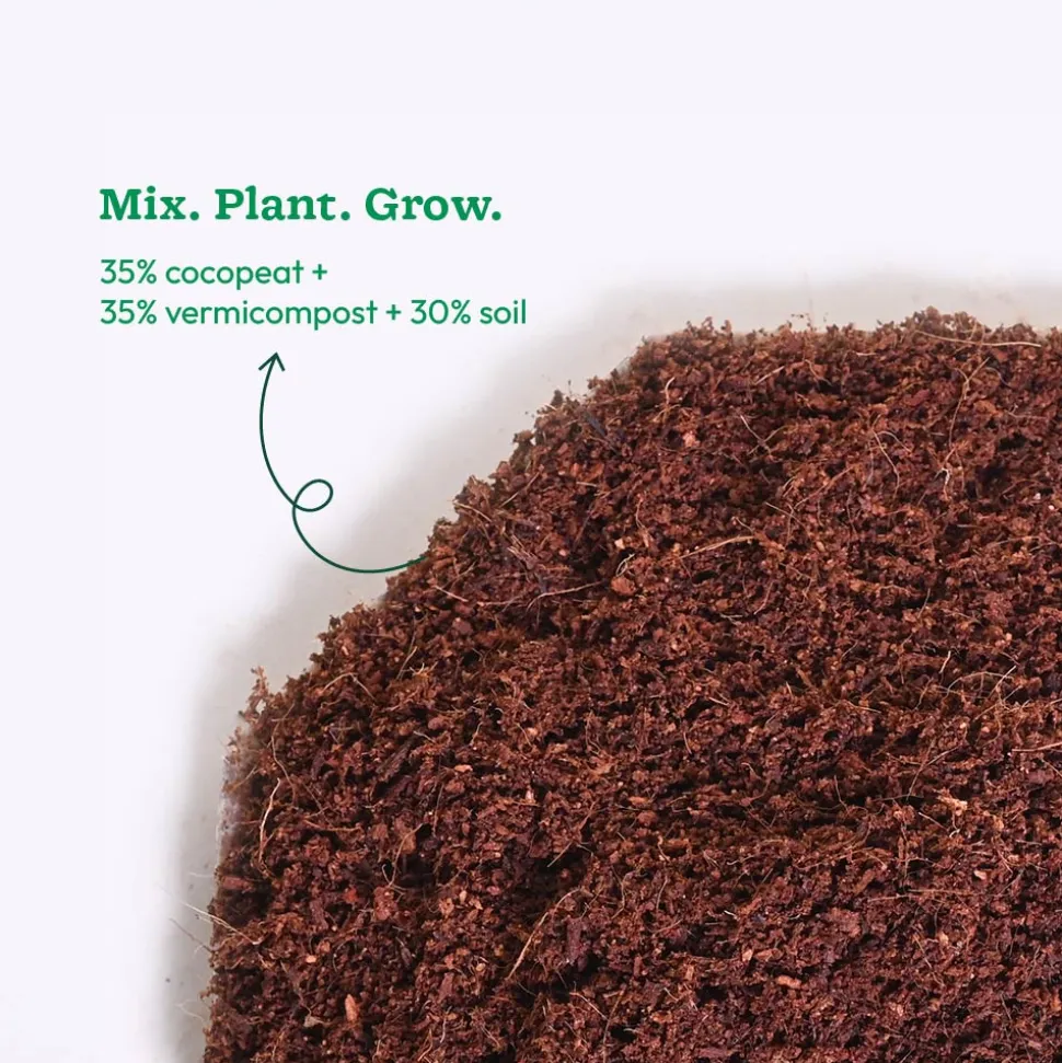 Decompressed Coco Peat Powder