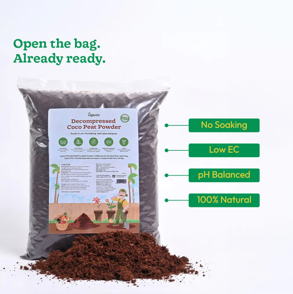 Decompressed Coco Peat Powder