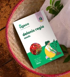 Delonix Regia Seeds (Flamboyant Tree) - 100 g