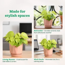 Diamond Ceramic Pot