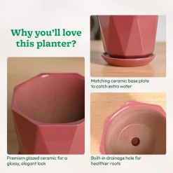 Diamond Ceramic Pot