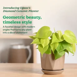 Diamond Ceramic Pot