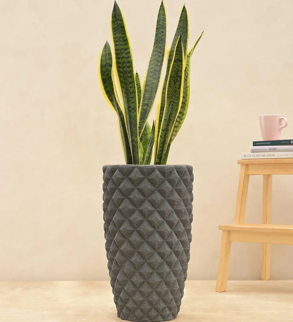 Diamond High Planter