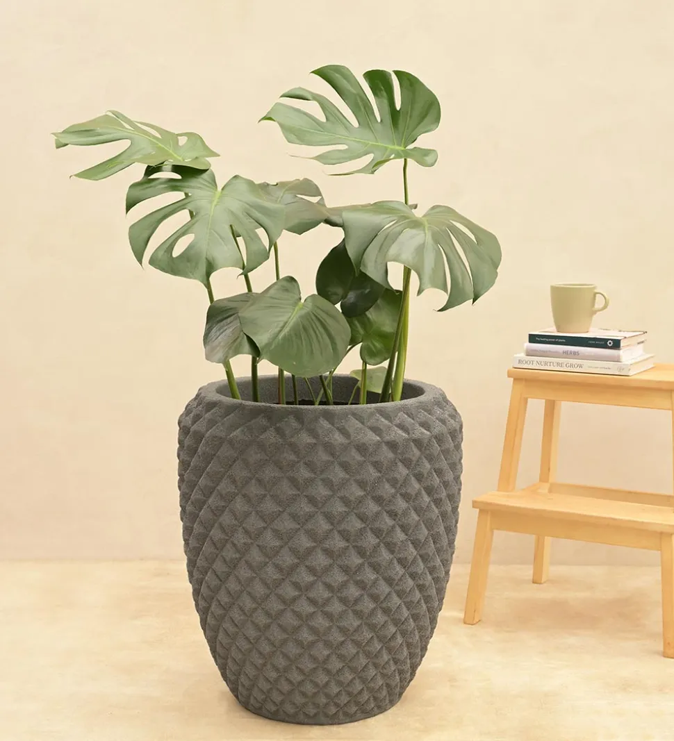 Diamond Low Planter