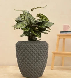Diamond Low Planter
